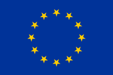 Euro Flag